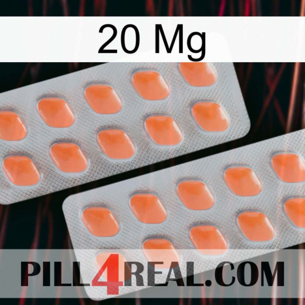 20 Mg 27.jpg